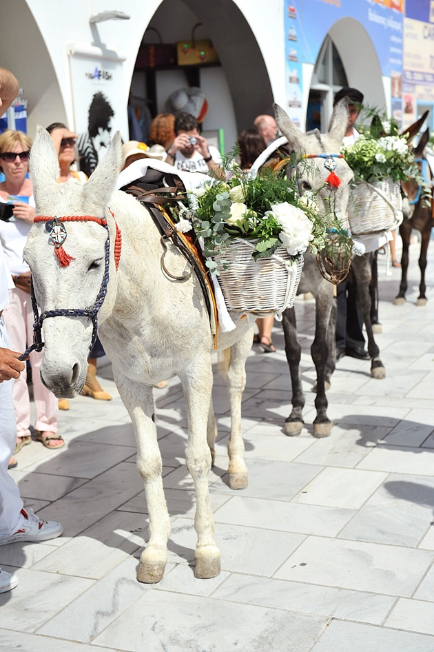 Greek-Island-Wedding-Planners-Santorini-0013