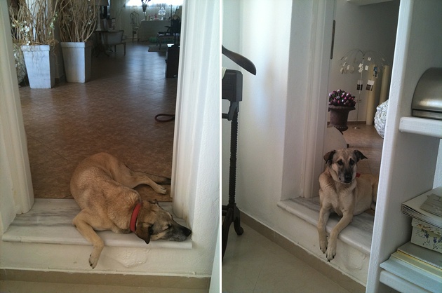 Greek-Island-Wedding-Planners-Santorini-0055